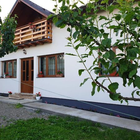 Pensiunea Ilea Ieud Bagian luar foto