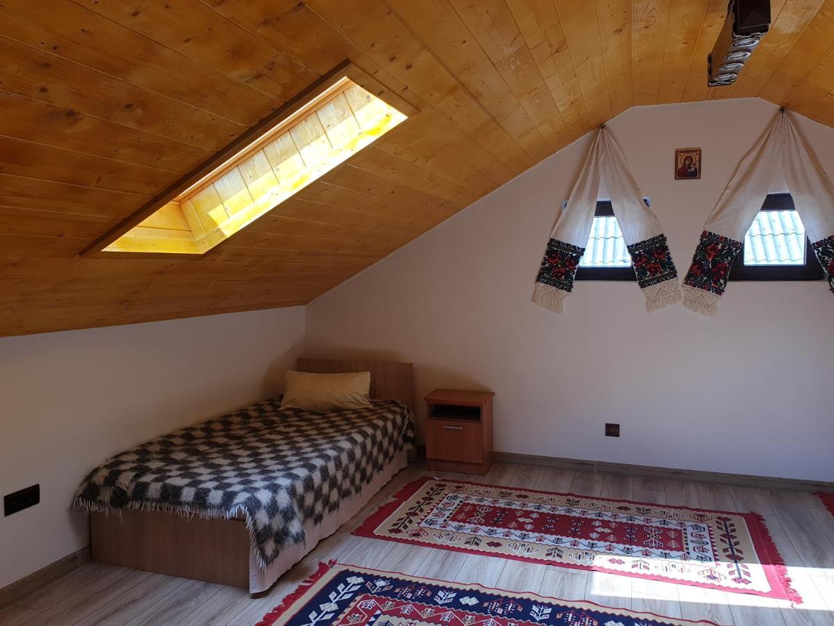 Pensiunea Ilea Ieud Bagian luar foto