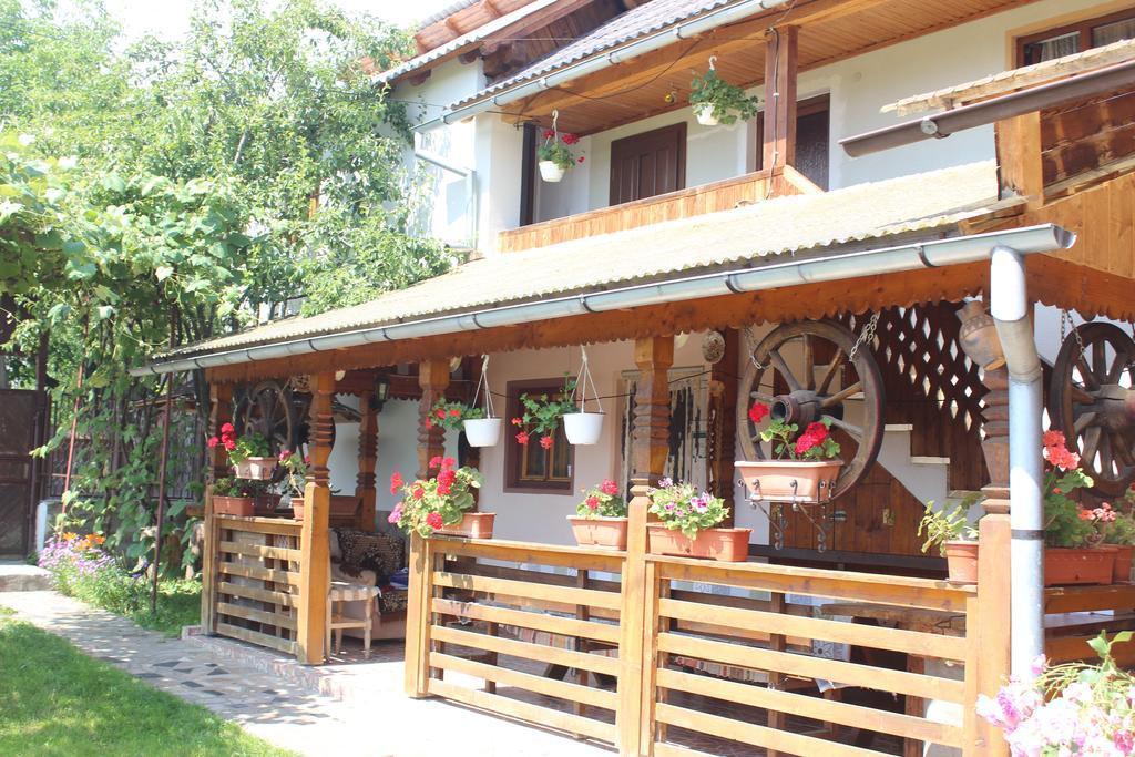 Pensiunea Ilea Ieud Bagian luar foto