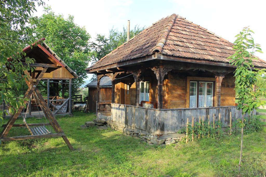 Pensiunea Ilea Ieud Bagian luar foto