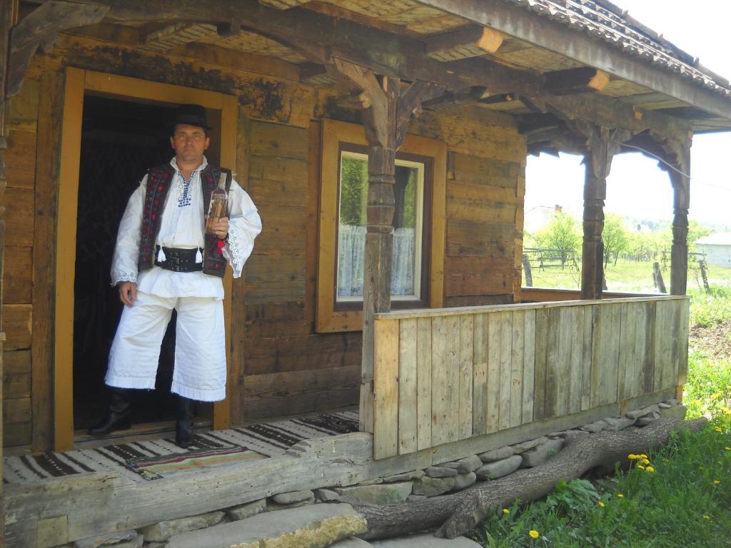 Pensiunea Ilea Ieud Bagian luar foto