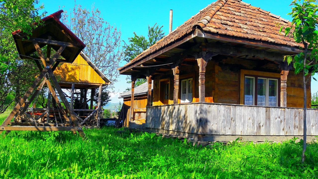 Pensiunea Ilea Ieud Bagian luar foto