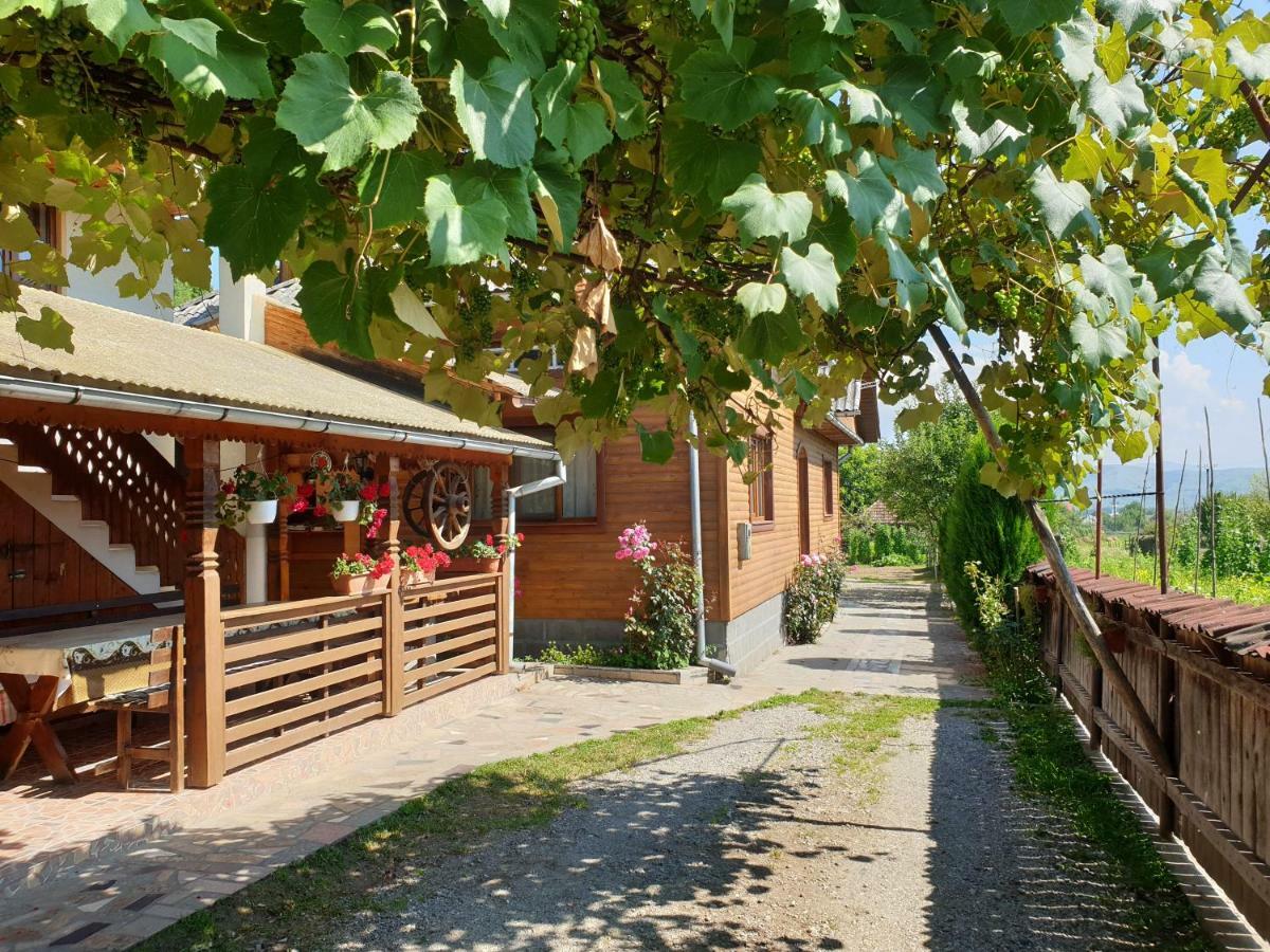 Pensiunea Ilea Ieud Bagian luar foto