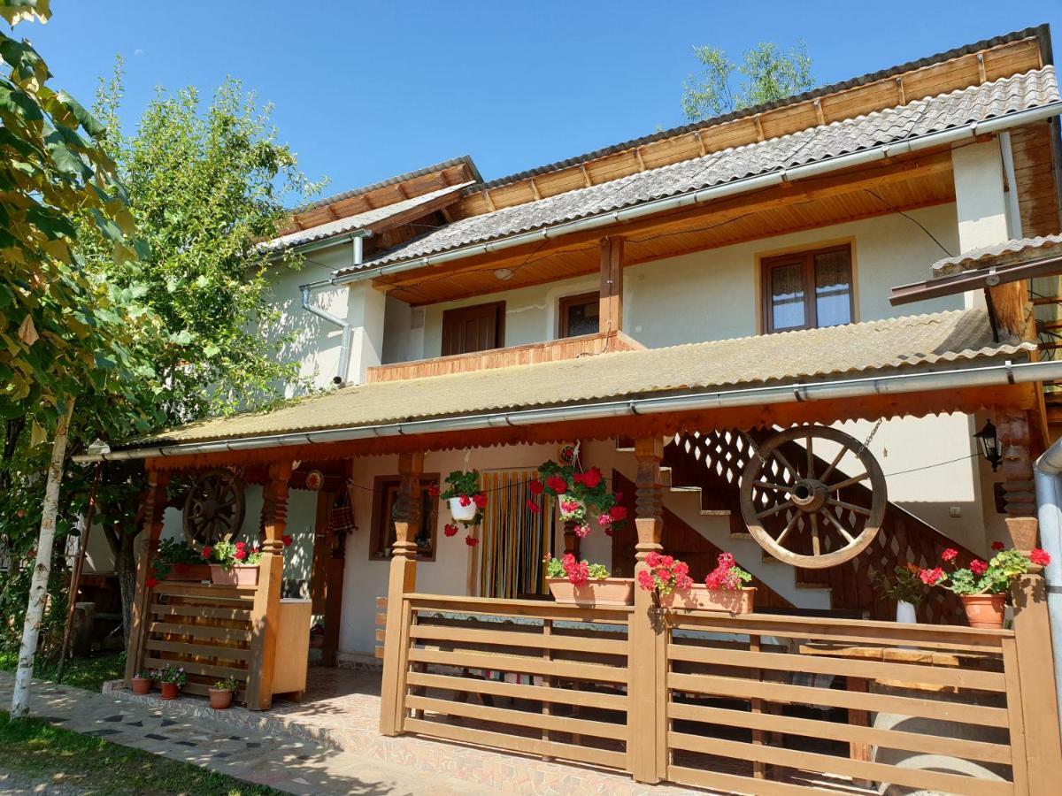 Pensiunea Ilea Ieud Bagian luar foto
