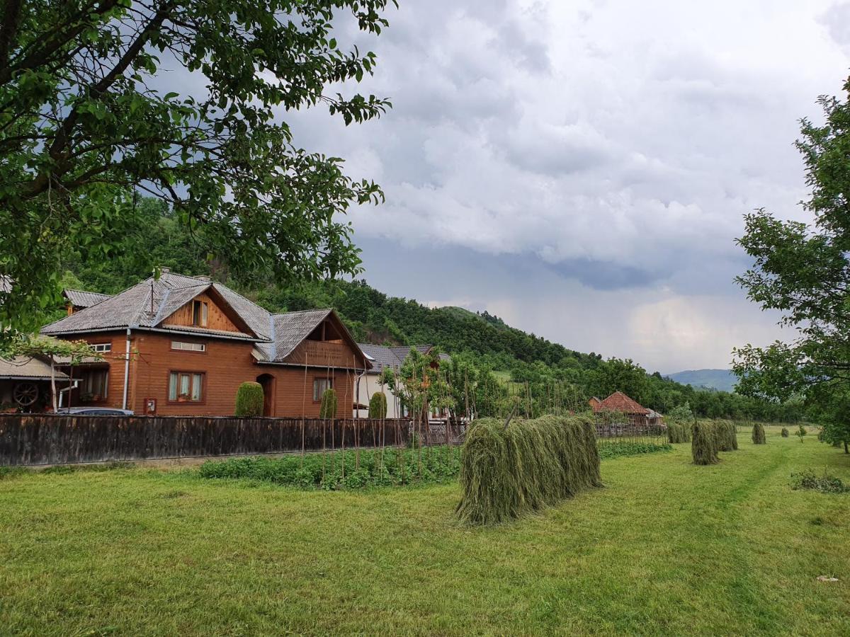 Pensiunea Ilea Ieud Bagian luar foto