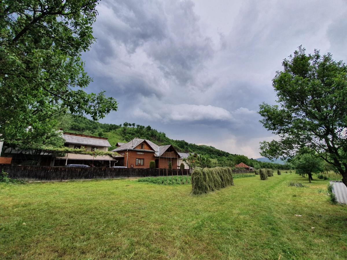 Pensiunea Ilea Ieud Bagian luar foto