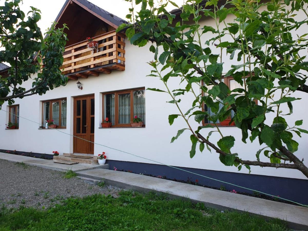 Pensiunea Ilea Ieud Bagian luar foto