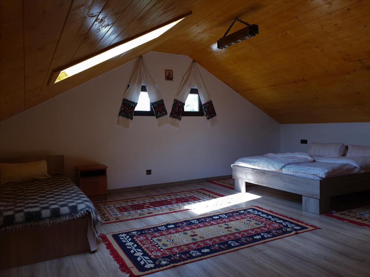 Pensiunea Ilea Ieud Bagian luar foto