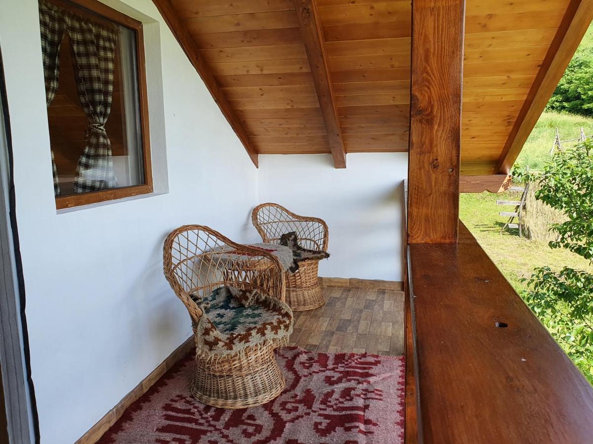 Pensiunea Ilea Ieud Bagian luar foto