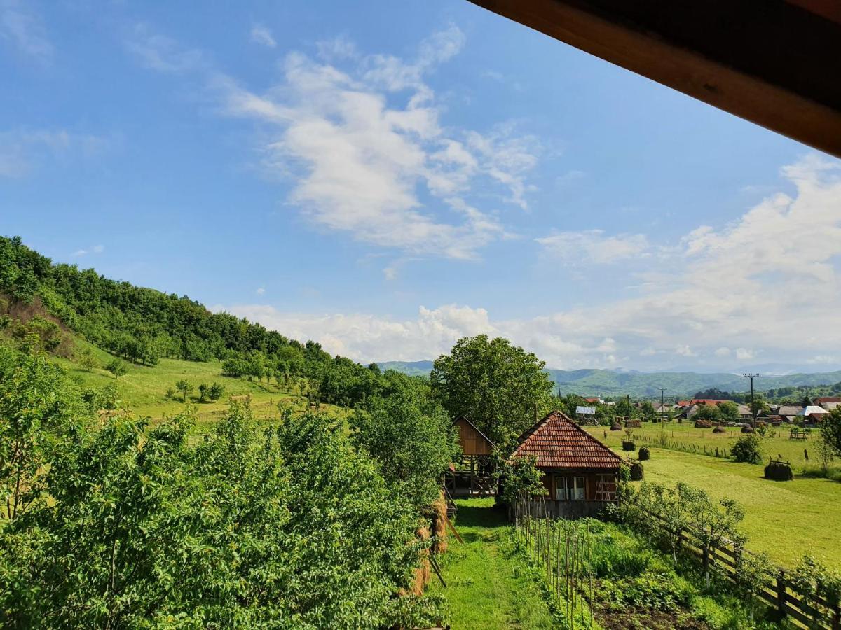 Pensiunea Ilea Ieud Bagian luar foto