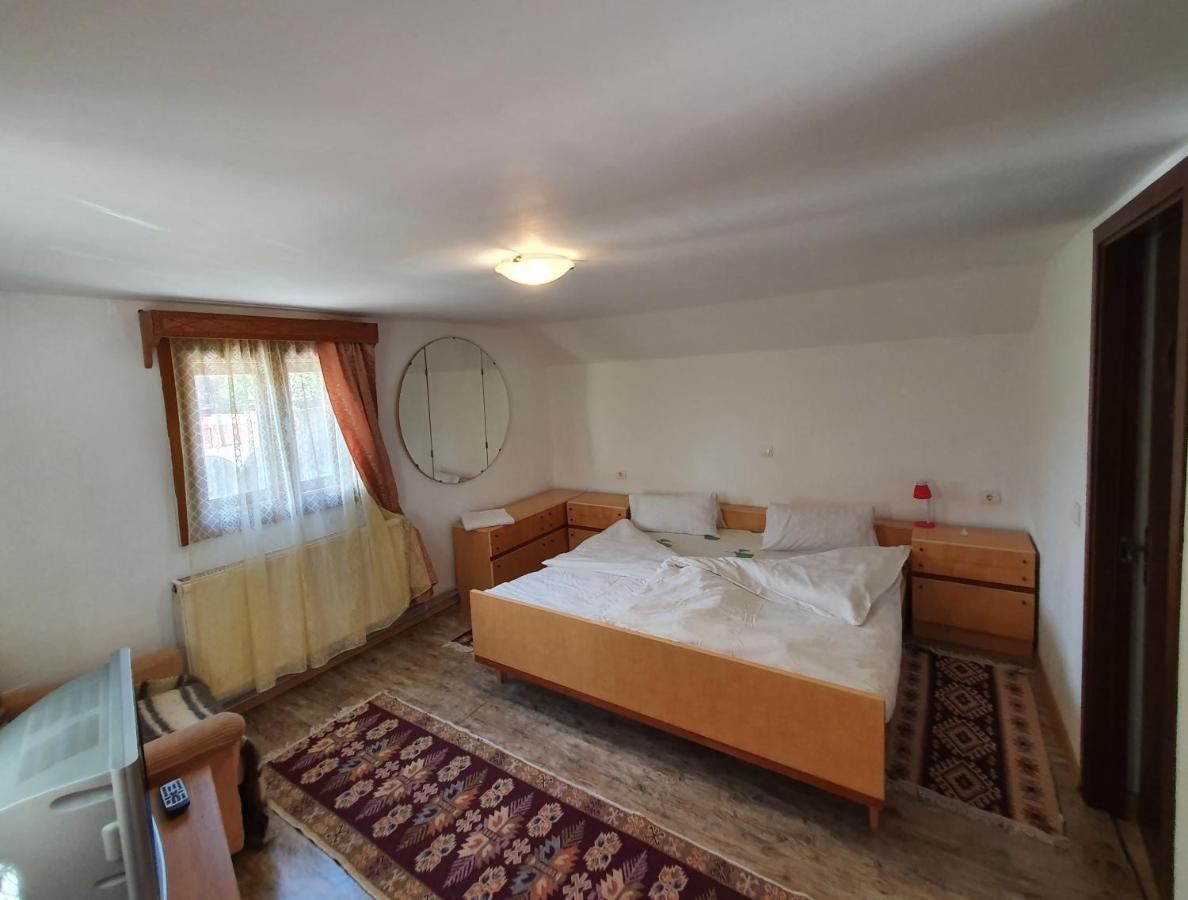 Pensiunea Ilea Ieud Bagian luar foto
