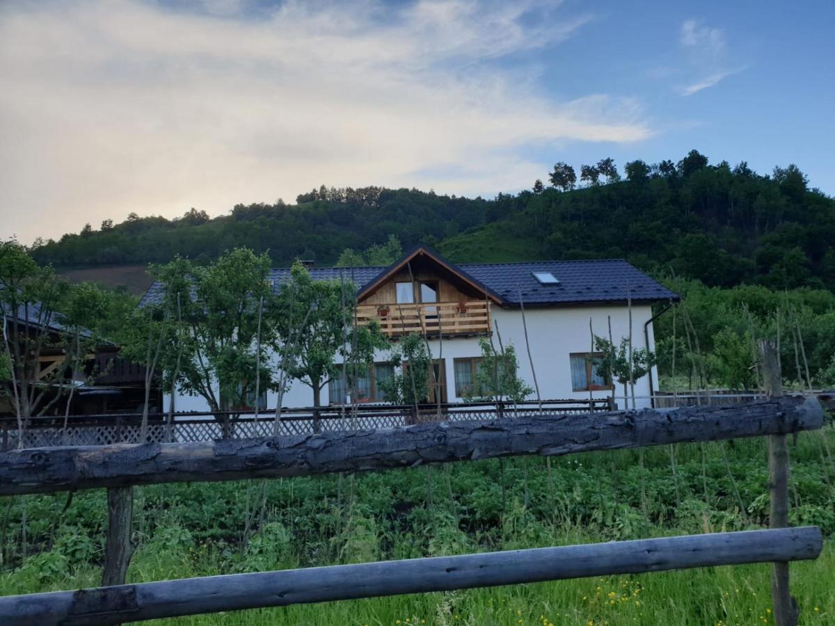 Pensiunea Ilea Ieud Bagian luar foto