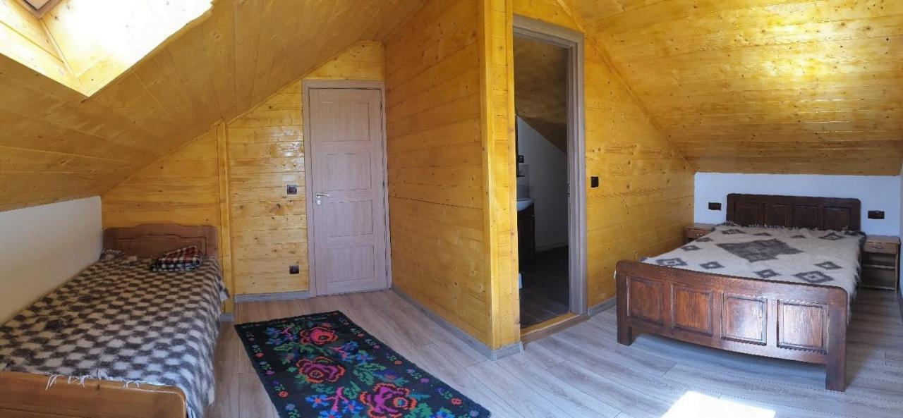 Pensiunea Ilea Ieud Bagian luar foto